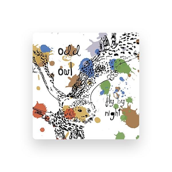 Odd Owl