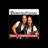 Domstadtjungs