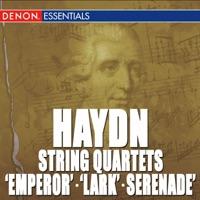 String Quartet No. 5, Op. 64 "Lark": III. Menuett: Allegretto