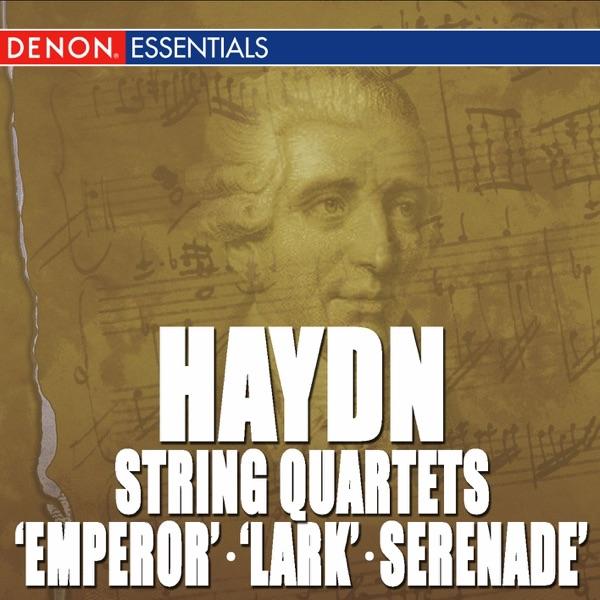 String Quartet No. 5, Op. 64 "Lark": III. Menuett: Allegretto