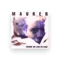 Maurer