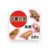 Nature Sound Effect