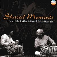 Vilambit laya : Medium tempo - Amad, peshkar, qaida, chakradhar