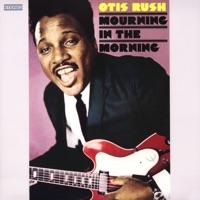 My Love Will Never Die (Single Version)