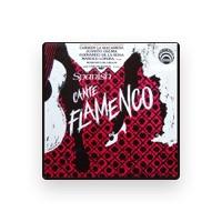 Cante Flamenco Ensemble