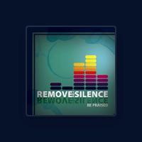 Remove the Silence