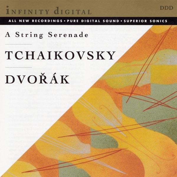 Serenade for String Orchestra in E Major Op. 22: V. Finale. Allegro vivace