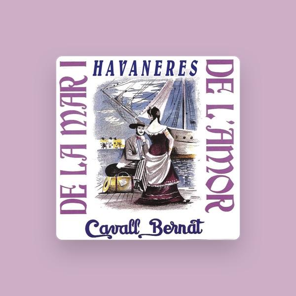 Cavall Bernat