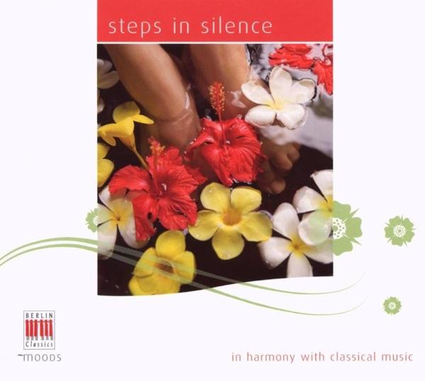 Concerto for Flute, Harp and Orchestra in C Major, K. 299: Andantino