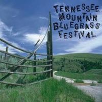 Nashville Blues (Instrumental) [Live]