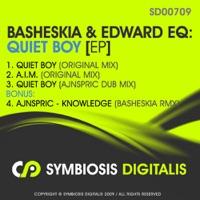 Knowledge (Basheskia Remix)