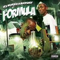 Hold It Down (feat. Talib Kweli & Tyler Woods)
