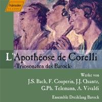 Trio Sonata In F Major, BWV 1028: III. Andante