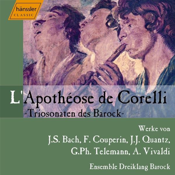 Trio Sonata In F Major, BWV 1028: IV. Allegro