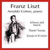 Sonata in B minor, S. 178: V. Stretta quasi presto