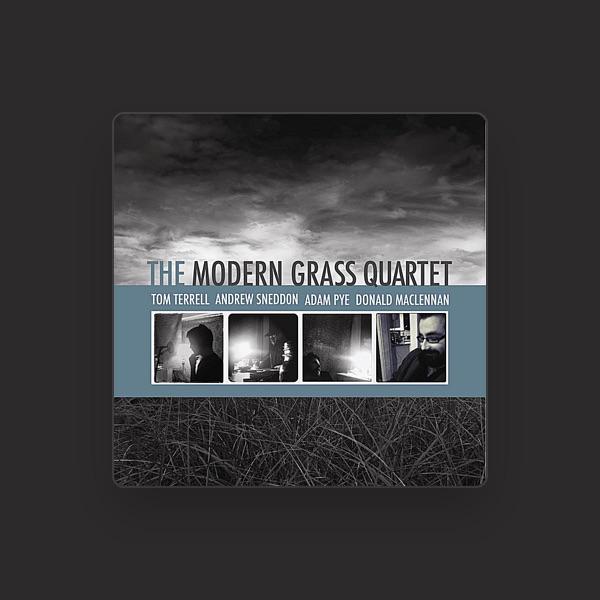 The Modern Grass Quartet