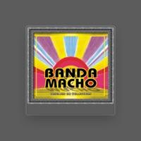Banda Macho