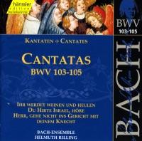 Ihr Werdet Weinen Und Heulen (Bass, Chorus)
