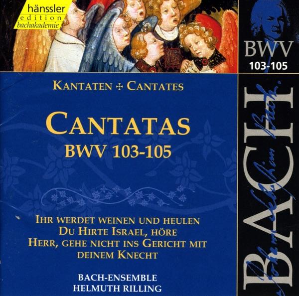 Herr, Gehe Nicht Ins Gericht Mit Deinem Knecht (Soprano, Alto, Tenor, Bass, Chorus)