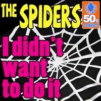 I Didn't Want to Do It (Digitally Remastered)