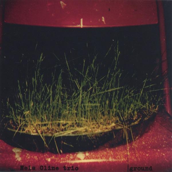 Rumpus Room/Rift (Live Boot)