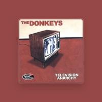 The Donkeys