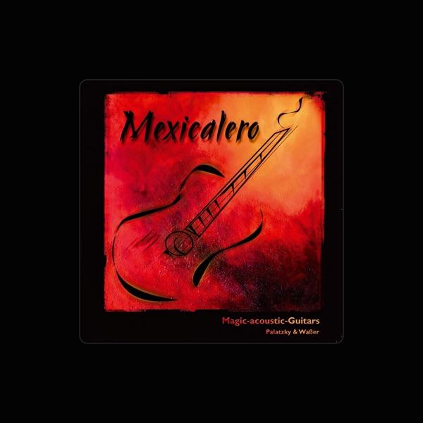 Magic Acoustic Guitars