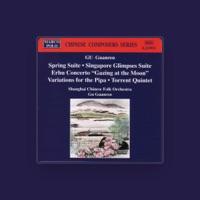 Shanghai Chinese Folk Orchestra