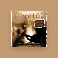 Tábortüz