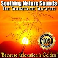 Summer Sounds