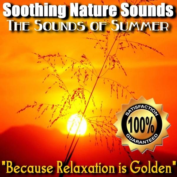 Summer Sounds