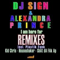 I Am Here For (Houseshaker Mix)