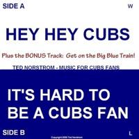 It's Hard to Be a Cubs Fan Version 2