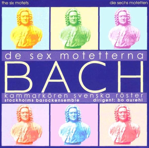 Der Geist hilft unser Schwachheit auf, BWV 226: Du heilige Brunst, susser Trost