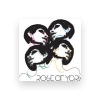 Rose of York