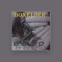 Boxelder