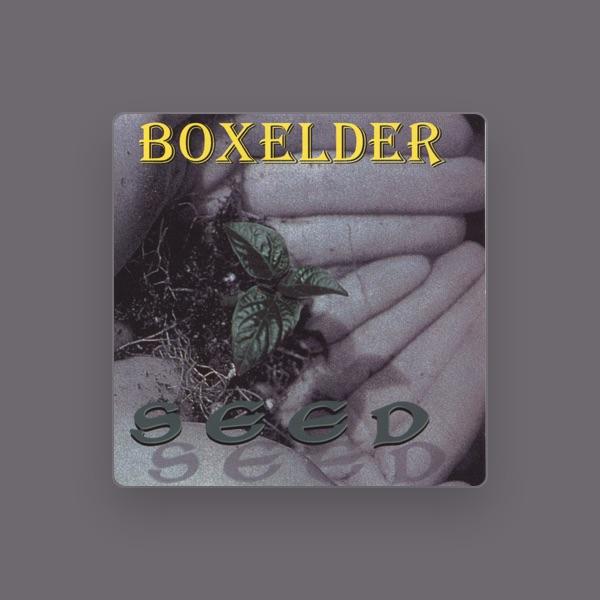 Boxelder