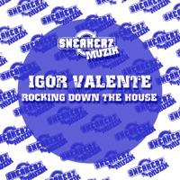 Rocking Down the House (Raul Moros Piano Vibe Mix)