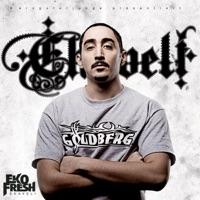 Stenzprominenz (feat. Hakan Abi, Kingsize, Ice H, SD, La)