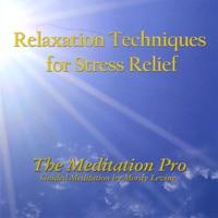 Sitting Meditation - Part 3 No Music