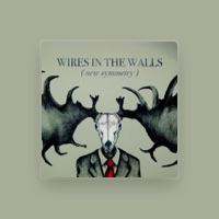 Wires In the Walls