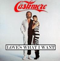 Love's What I Want (Extended Version)
