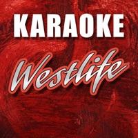 You Raise Me Up (Karaoke Version)