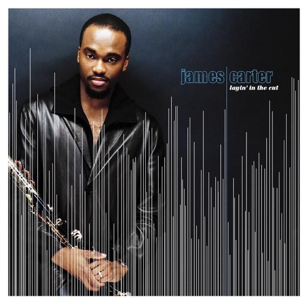 Layin' In the Cut (feat. Jef Lee Johnson, Marc Ribot, Jamaaladeen Tacuma & G. Calvin Weston)
