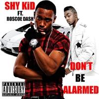 Don't Be Alarmed (feat. Roscoe Dash)