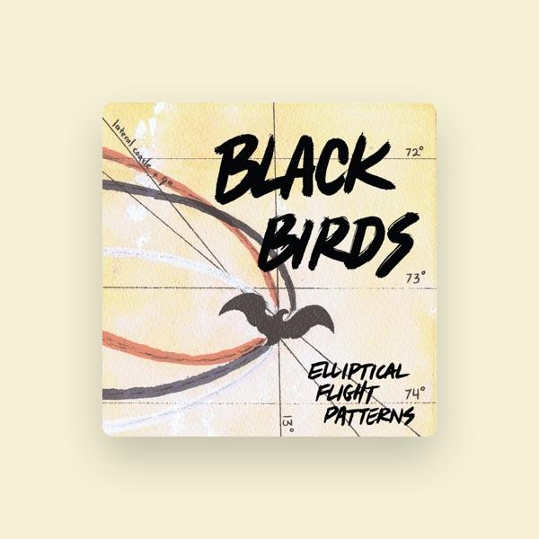 Black Birds