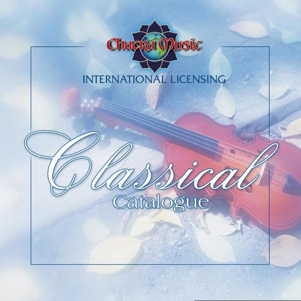 Symphony No.3 In G Major, Allegro