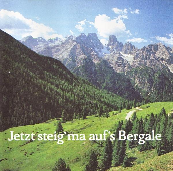 Znachts hob i a Reis g'macht