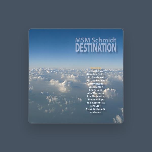 MSM Schmidt