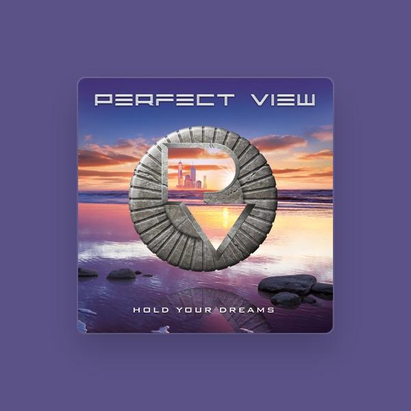 Perfect View